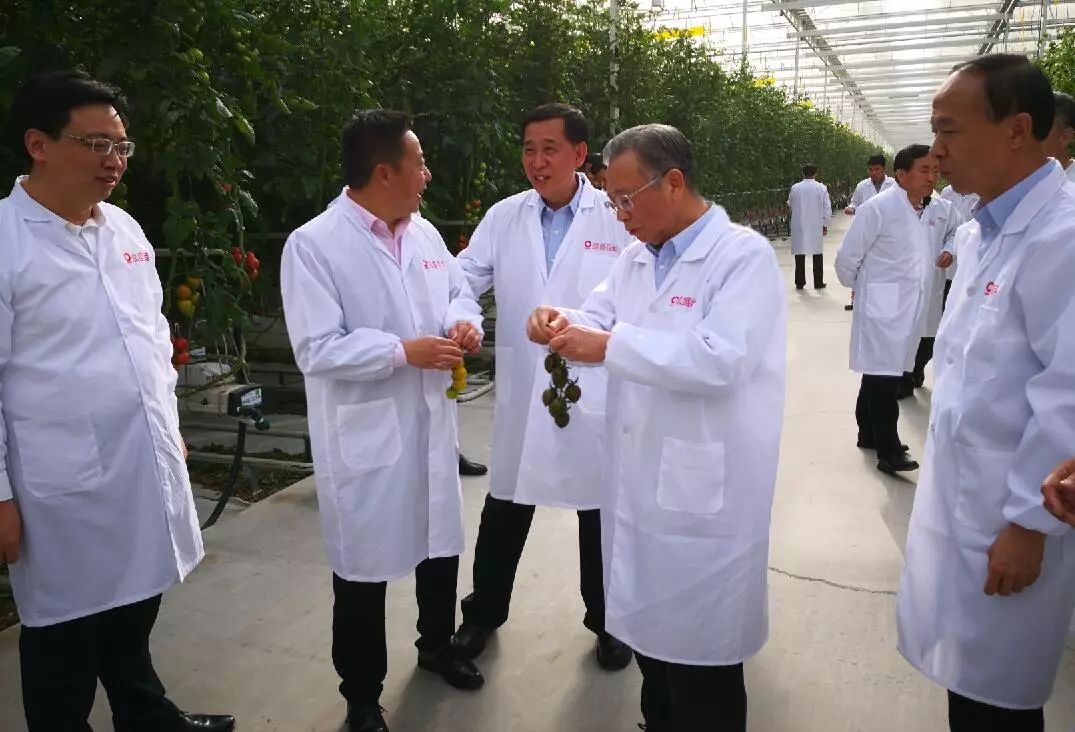 优德88·(中国区)官方网站