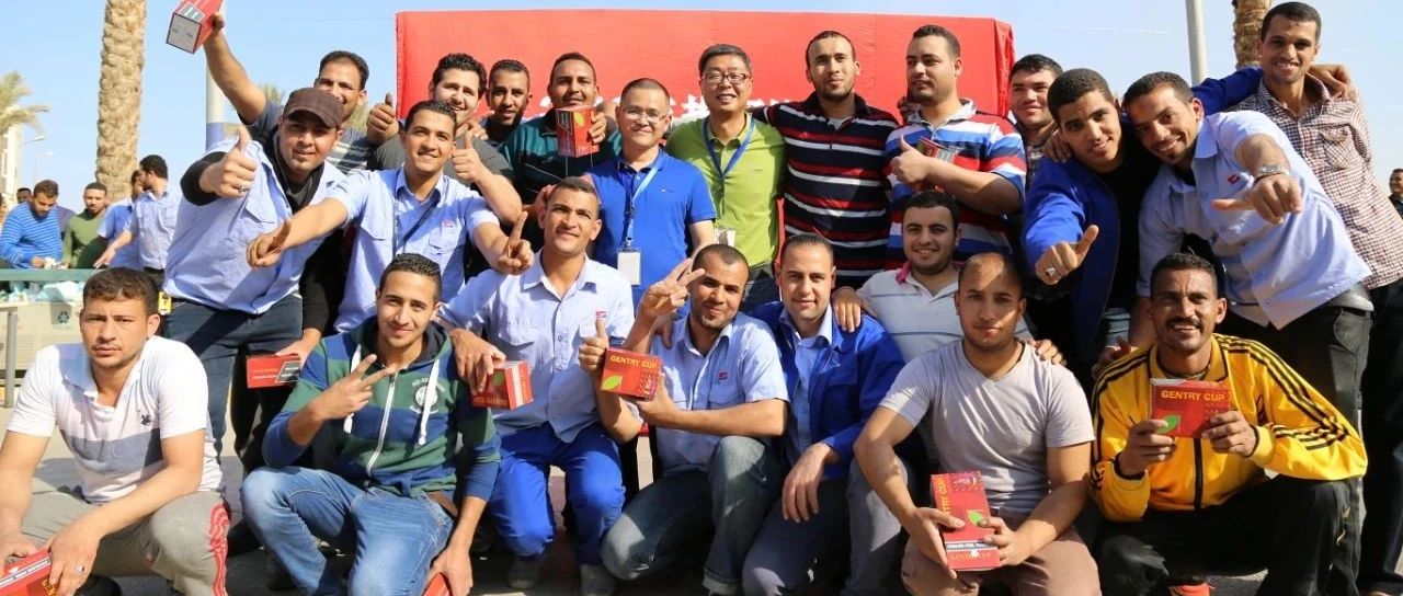 “善用资源日”境外预热 | 巨石埃及公司“云开放” ，，，，带你看“一带一起”璀璨明珠