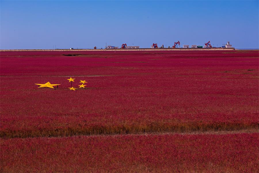 优德88·(中国区)官方网站