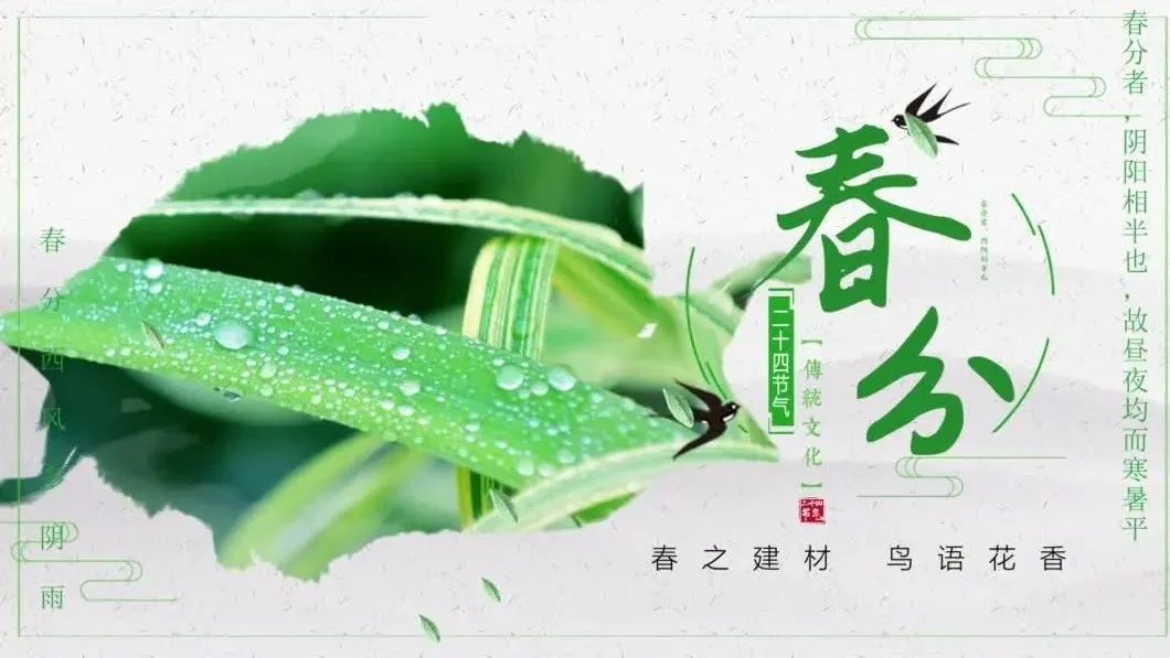 今日春分 | 春之建材，，，，，莺啼燕语