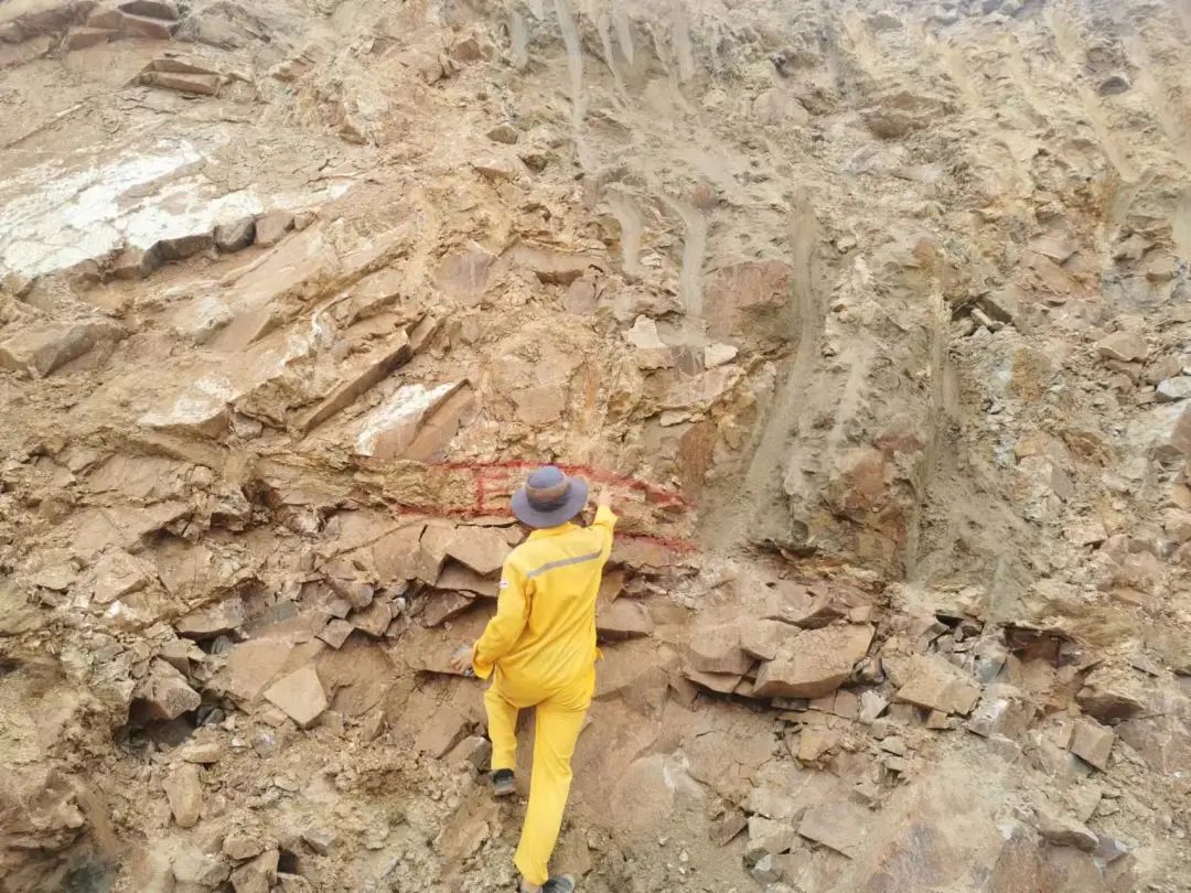 优德88·(中国区)官方网站